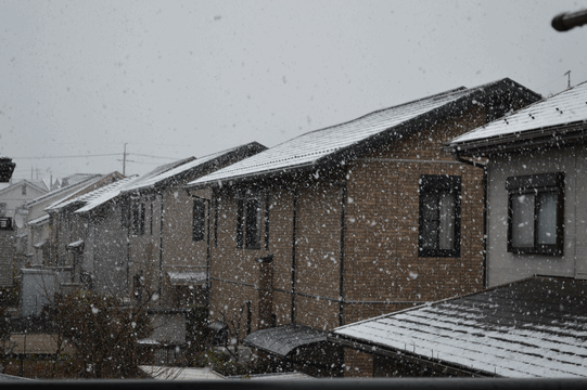 c0136736_12273149.gif