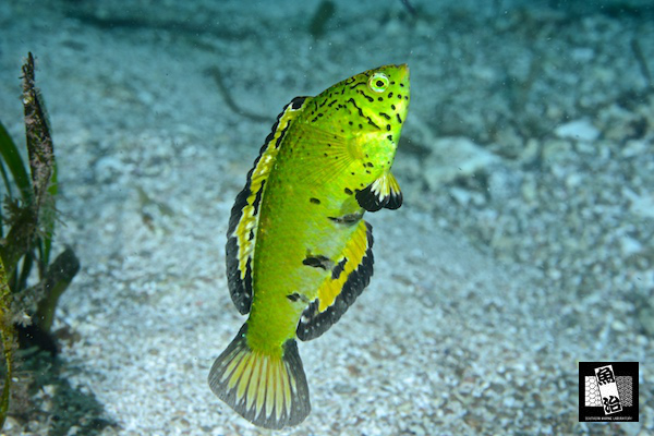 a0150039_1935996.jpg