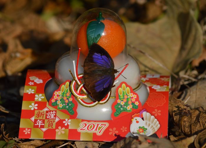 d0254540_19092134.jpg