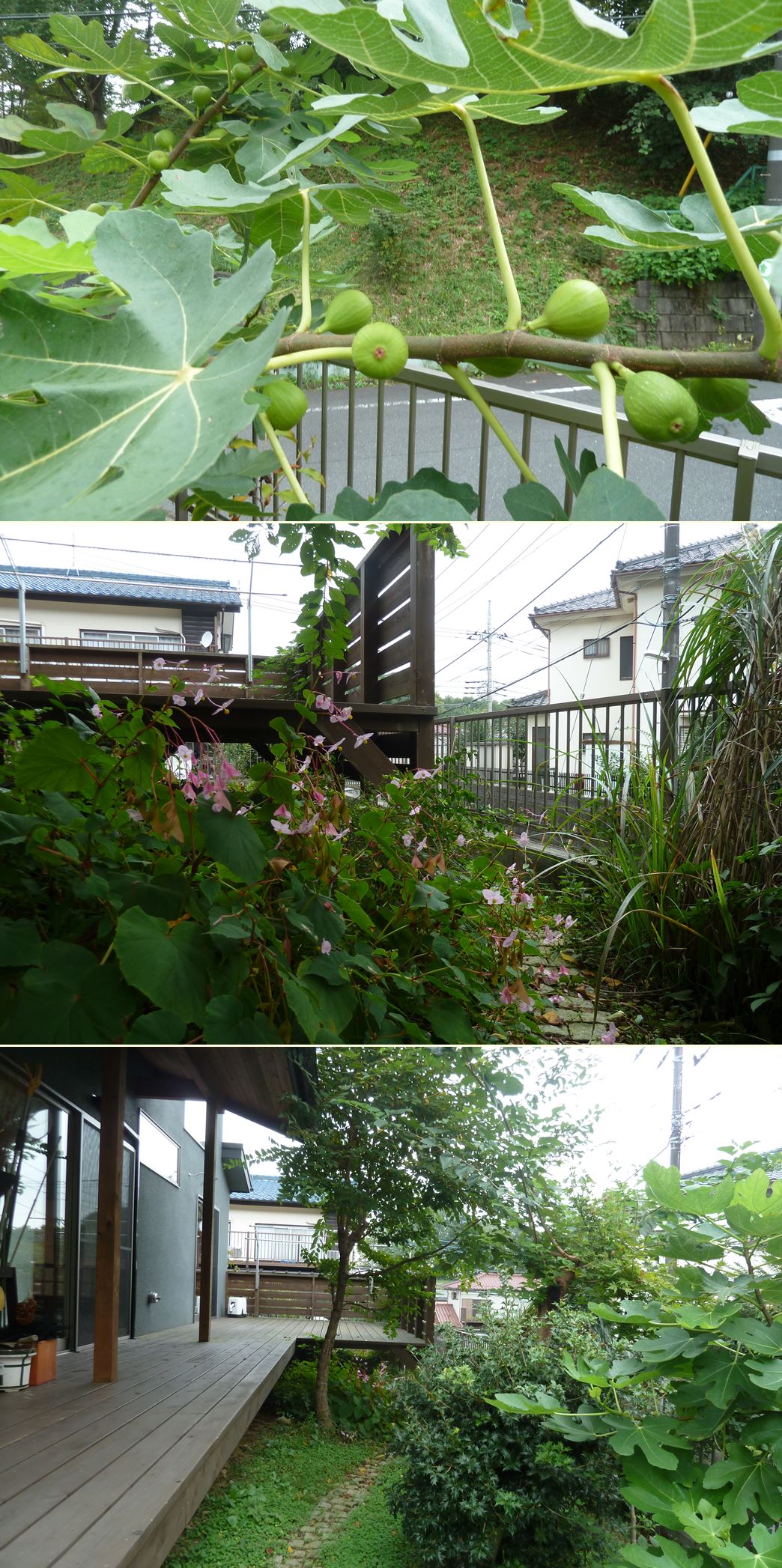 高尾の家☆味わいのあるお庭に_c0152341_23414596.jpg
