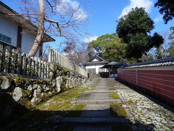 當麻寺・奥院の冬牡丹（写真部門）_b0299042_9102388.jpg