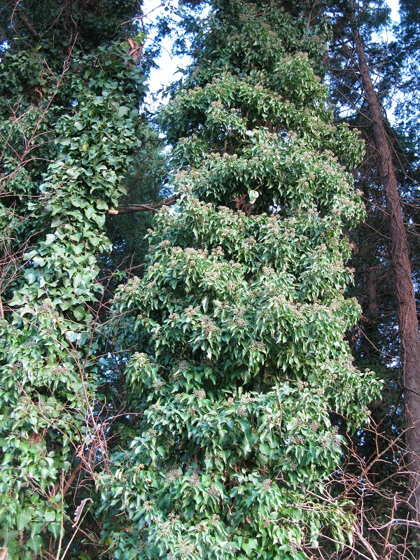 d0333943_9153779.jpg
