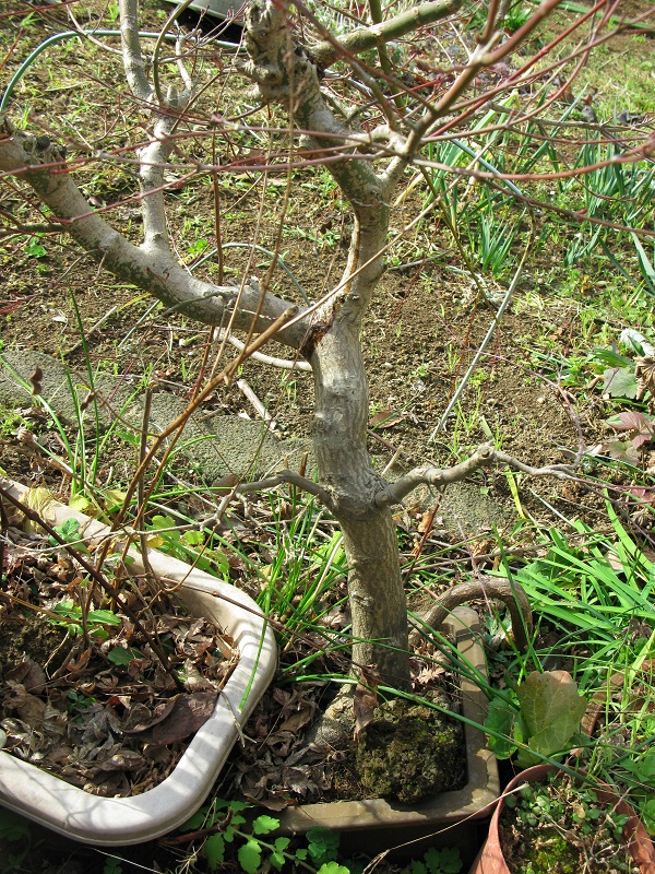 d0333943_929074.jpg