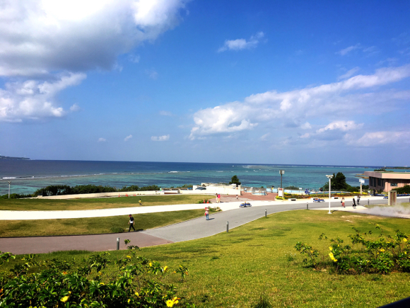 沖縄Trip‼️美ら海水族館_e0292546_07510149.jpg