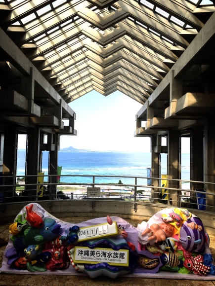 沖縄Trip‼️美ら海水族館_e0292546_07510207.jpg