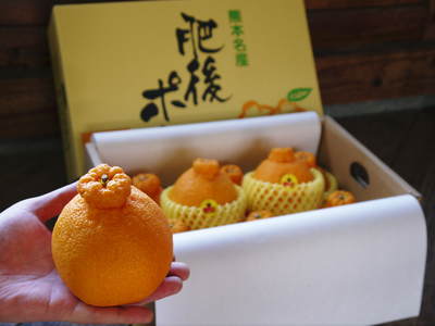 熊本限定栽培品種!樹上完熟デコポン(肥後ポン)『ひのゆたか』を本日初収穫&初出荷!!(後編)_a0254656_16422930.jpg