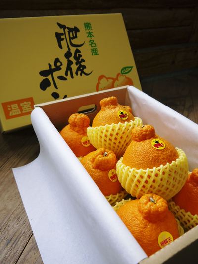 熊本限定栽培品種!樹上完熟デコポン(肥後ポン)『ひのゆたか』を本日初収穫&初出荷!!(後編)_a0254656_17235522.jpg