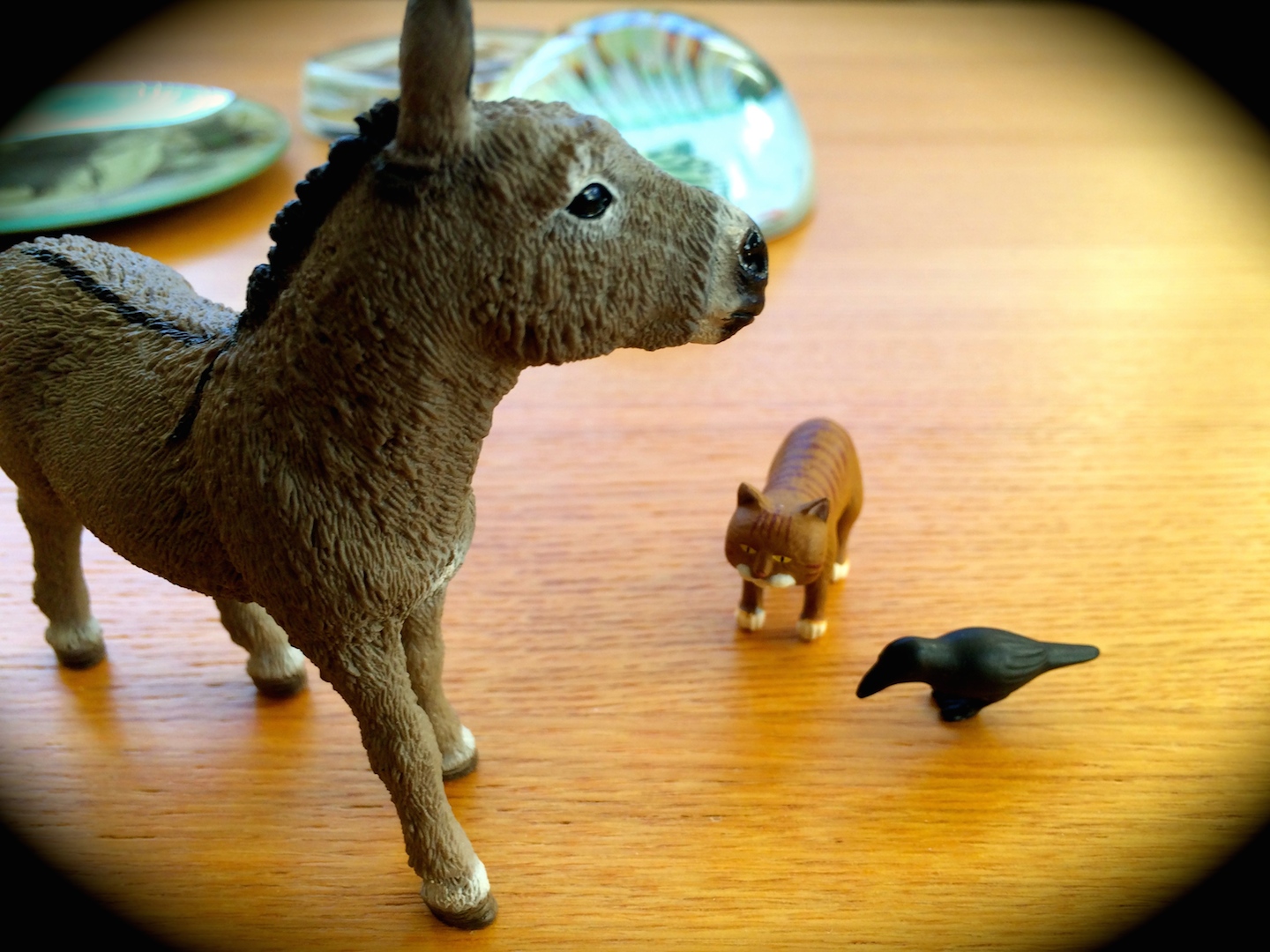 プリニウス同行の動物達_a0087957_9375123.jpg