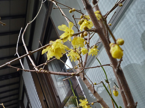 b0045357_13351282.jpg