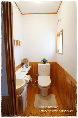 トイレ改造計画　漆喰塗り_a0191165_19462483.jpg