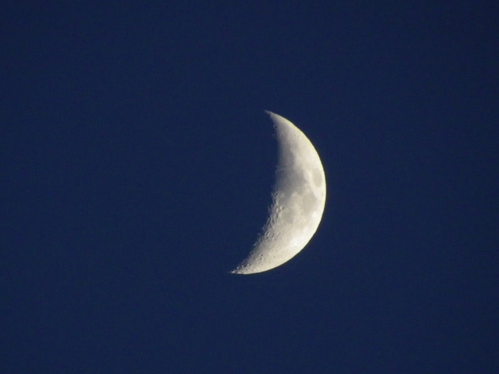 c0108366_14102403.jpg