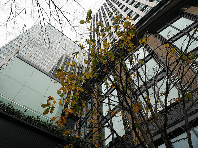 f0199866_21344376.jpg