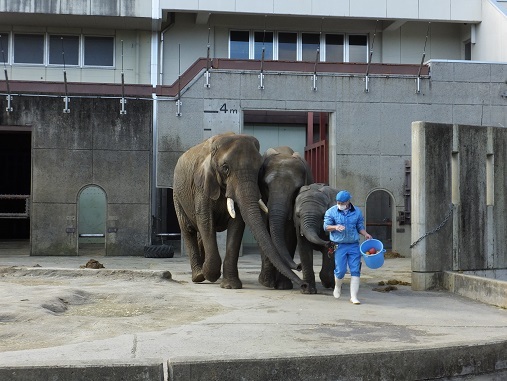 わたし まーつわ いつまでも待つわ いきものがたり わたし まーつわ いつまでも待つわ いきものがたり