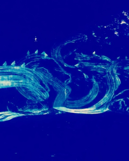 e0029472_01524332.jpg