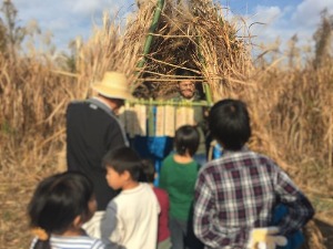 桂川河川敷にてカヤで基地づくり!_e0008880_7483986.jpg