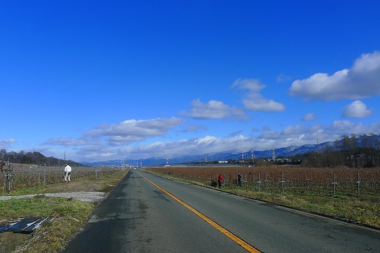 a0130586_1602252.jpg