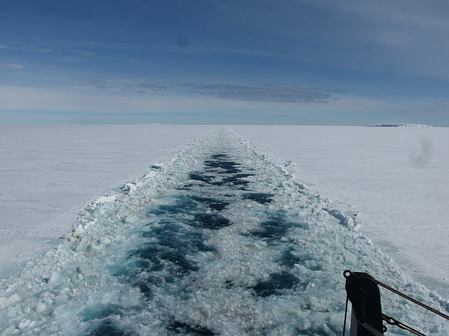c0193901_1342715.jpg