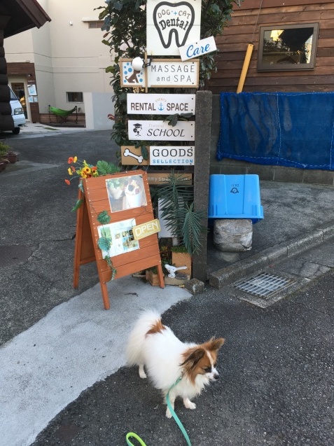 f0034602_20355057.jpeg