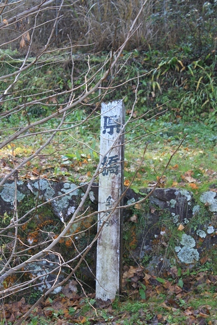 c0368903_10222864.jpg
