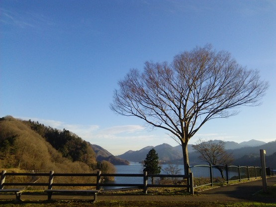 c0212604_15323474.jpg