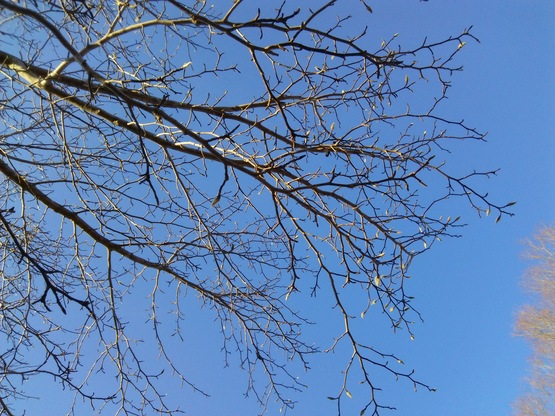 c0212604_15342524.jpg