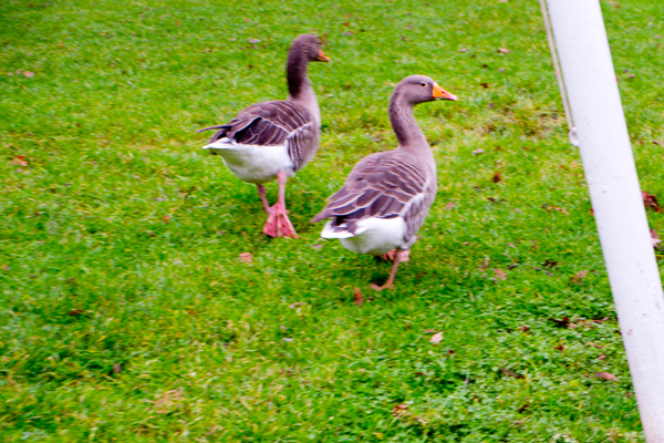 a0358016_03254728.jpg