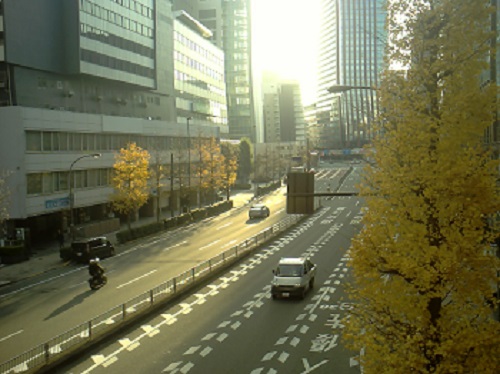 a0116217_22375625.jpg