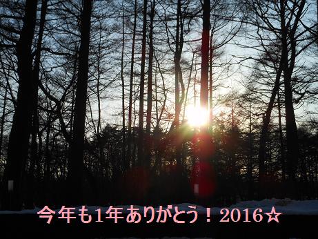 今年もありがとう!_d0085018_2031151.jpg