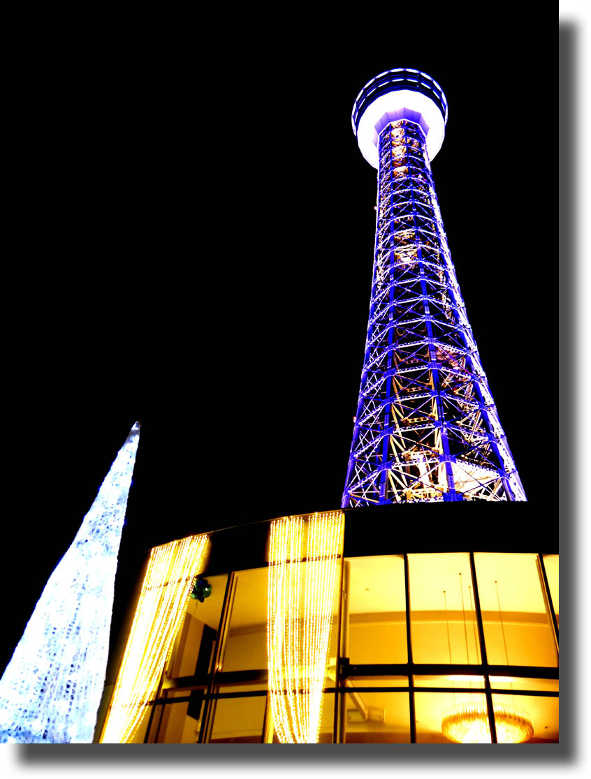 赤レンガ倉庫とマリンタワーのイルミネーション12月20日_c0121824_18383249.jpg