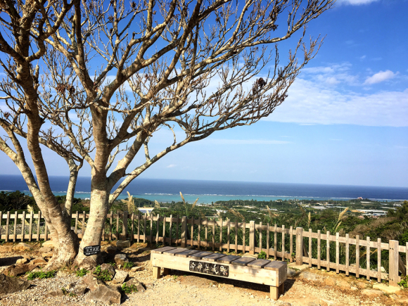 沖縄Trip‼️今帰仁城跡&古宇利島_e0292546_21081648.jpg