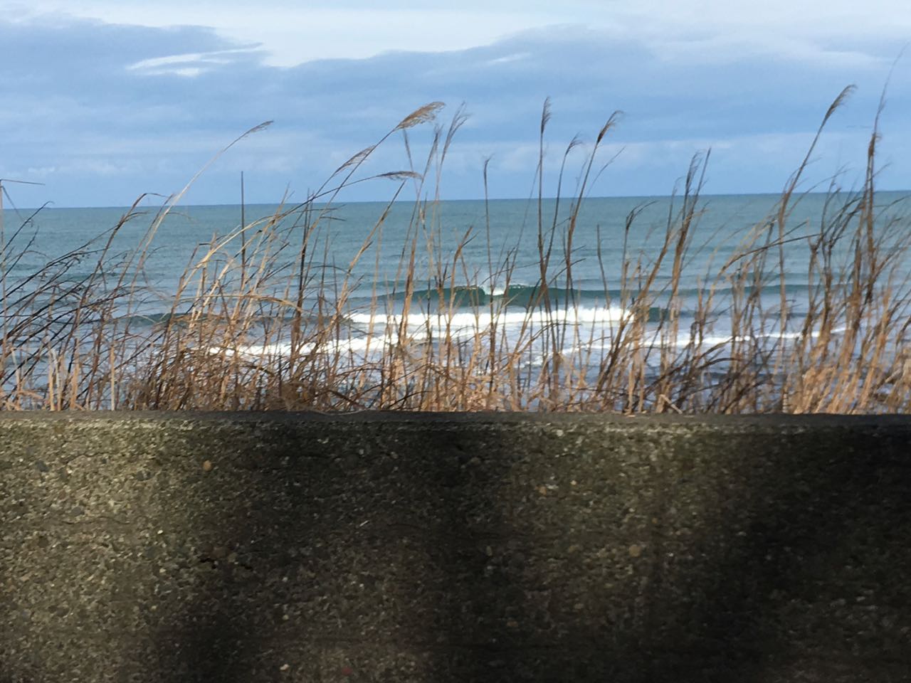 c0254151_1828358.jpg