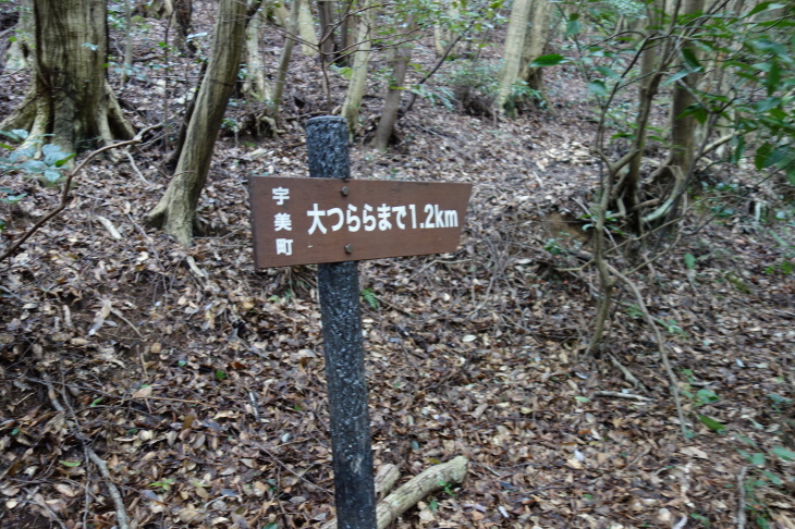 d0345153_18042520.jpg