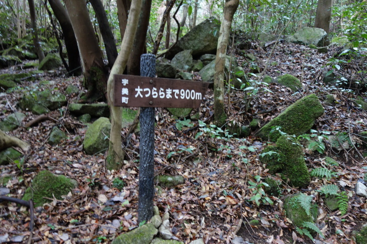 d0345153_18051337.jpg