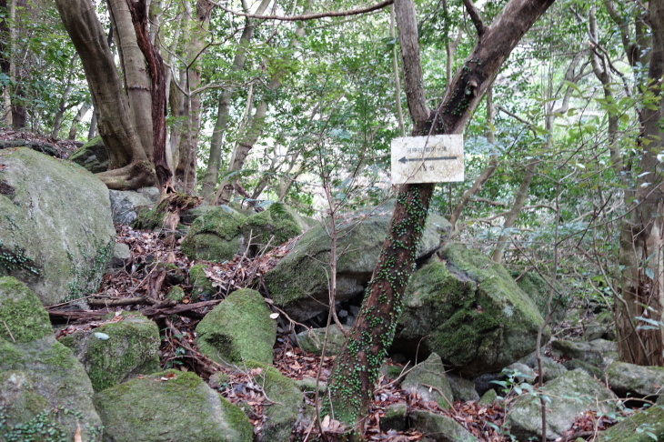 d0345153_18052278.jpg