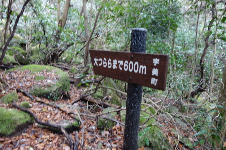 d0345153_18061181.jpg
