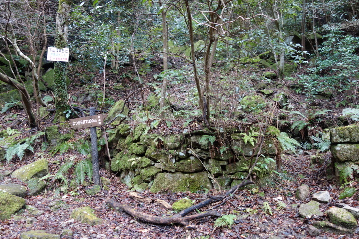 d0345153_18064968.jpg