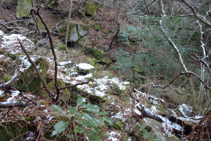 d0345153_18105115.jpg