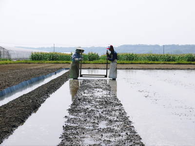 熊本の美味しいお米（菊池水源棚田米、砂田のれんげ米、七城米）大好評発売中！こだわり紹介　その３_a0254656_14292563.jpg