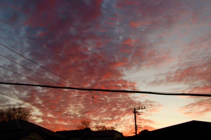 a0248459_15212319.jpg