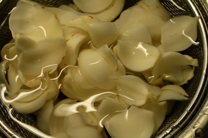 a0248459_15262001.jpg