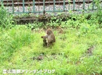 2016年もお疲れ様でした!_a0243562_17360299.jpg