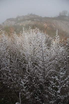f0362263_18345274.jpg
