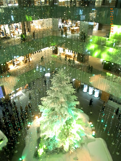 b0075364_1411037.jpg
