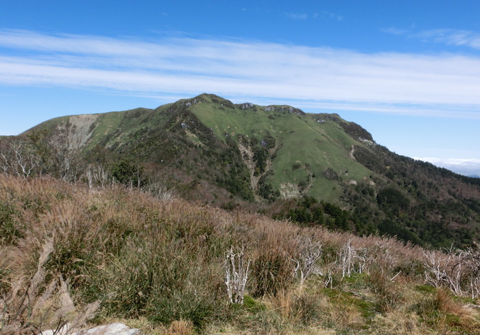 b0185573_8515090.jpg