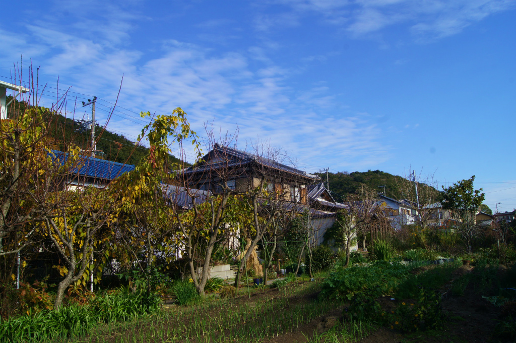 e0181373_2045050.jpg