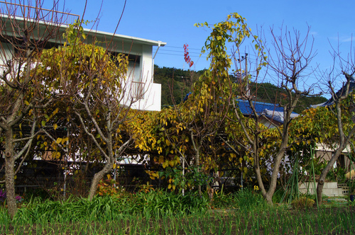 e0181373_20451256.jpg