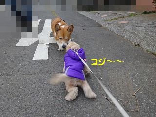 これでいい事あるといいな_d0353074_16310984.jpg