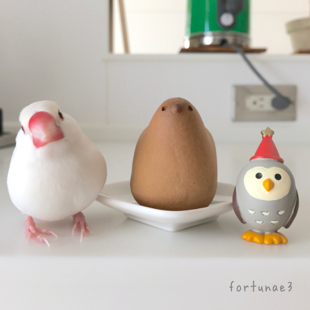 トリ・トリ・トリ(動物・ペット部門) はる便り