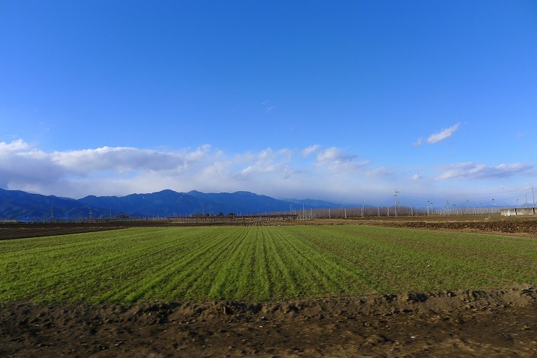 a0130586_19403655.jpg
