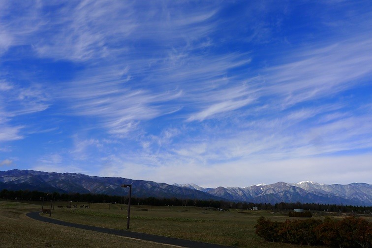 a0130586_1955163.jpg